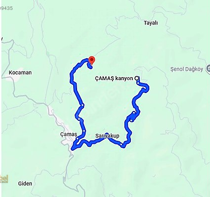 MABEL GAYRİMENKUL-ÇAMAŞ-ÇAVUŞBAŞI MAH.-SATILIK FINDIK BAHÇESİ